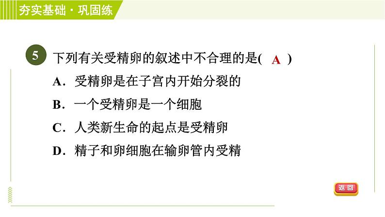 浙教版七年级下册科学 第1章 1.1.1人的生殖细胞和生殖系统 受精与妊娠 习题课件08