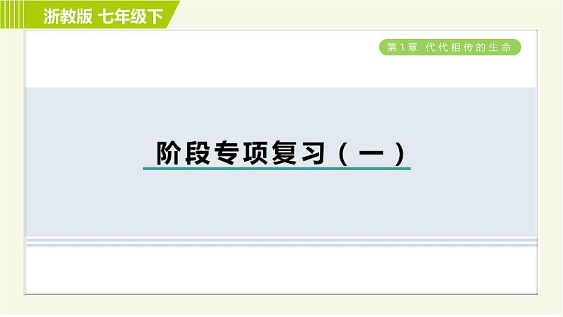 浙教版七年级下册科学 第1章 习题课件01