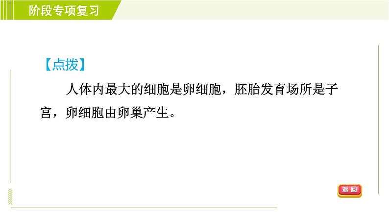 浙教版七年级下册科学 第1章 习题课件05