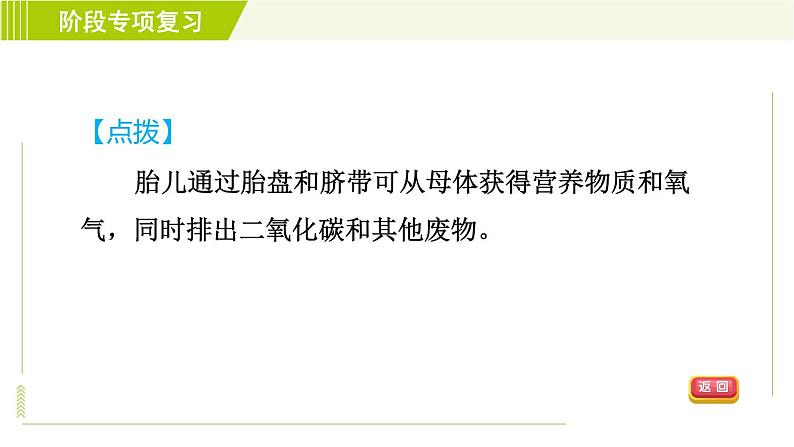 浙教版七年级下册科学 第1章 习题课件07