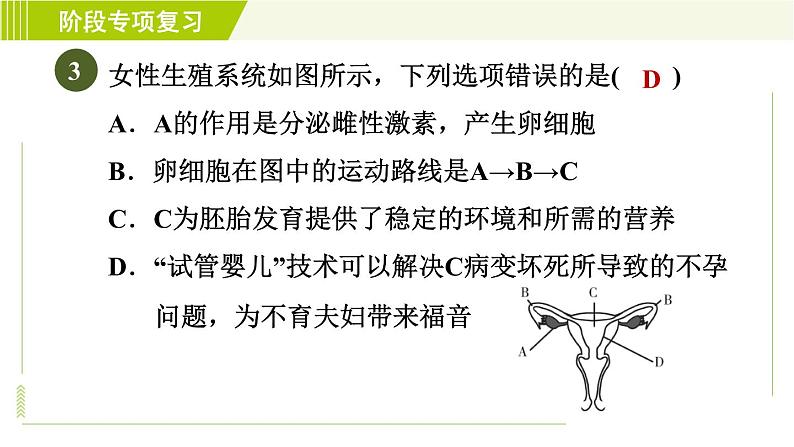 浙教版七年级下册科学 第1章 习题课件08