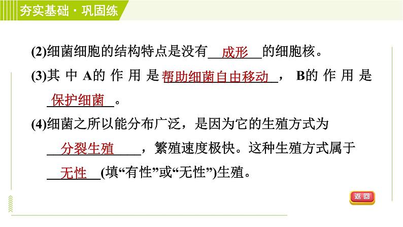 浙教版七年级下册科学 第1章 习题课件06
