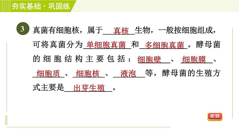 浙教版七年级下册科学 第1章 习题课件07
