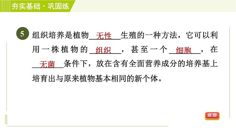 浙教版七年级下册科学 第1章 习题课件08