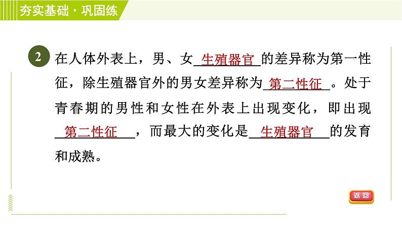 浙教版七年级下册科学 第1章 习题课件05