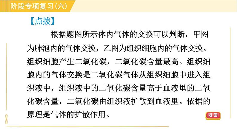浙教版八年级下册科学 第3章 阶段专项复习(六) 习题课件第6页