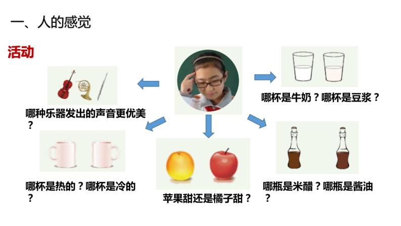 2020—2021学年浙教版科学八年级下册课件-2.1 感觉世界03