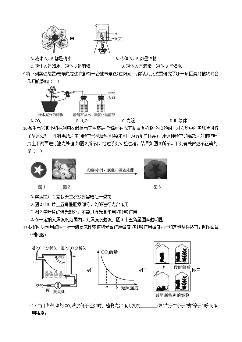 浙教版科学八年级下学期 3.6 光合作用的原理、条件、产物和原料（第1课时）同步练习（含答案）02