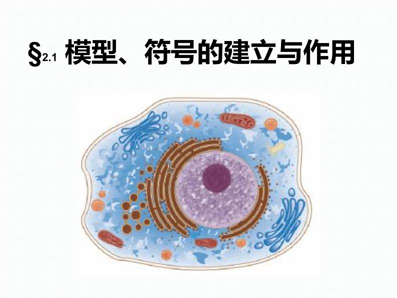 浙教版八年级下册科学课件:2.1 模型、符号的建立与作用第5页