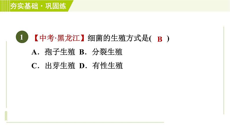 华师版七年级下册科学 第7章 7.4细菌和真菌的繁殖 习题课件03