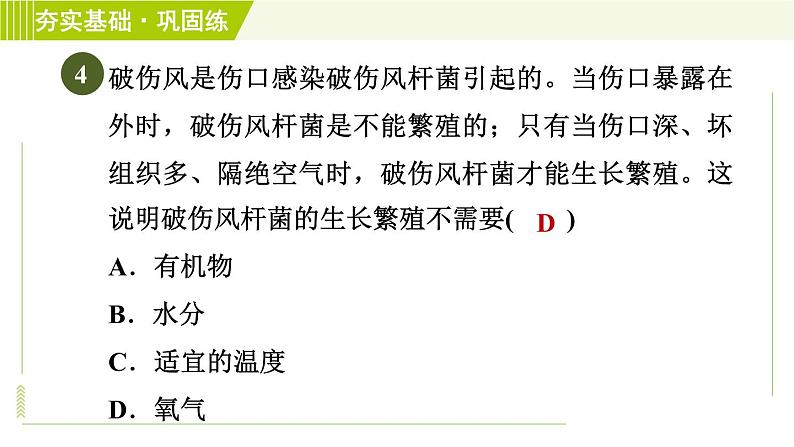 华师版七年级下册科学 第7章 7.4细菌和真菌的繁殖 习题课件08