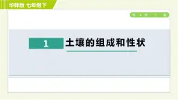 华师版七年级下册科学 第4章 4.1土壤的组成和性状 习题课件