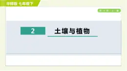 华师版七年级下册科学 第4章 4.2土壤与植物 习题课件