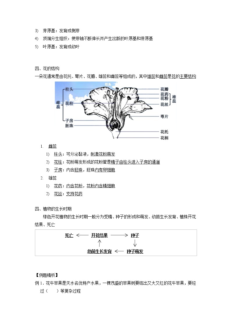 1.4 植物的一生-2020-2021学年科学七年级下册讲练测（浙教版）03