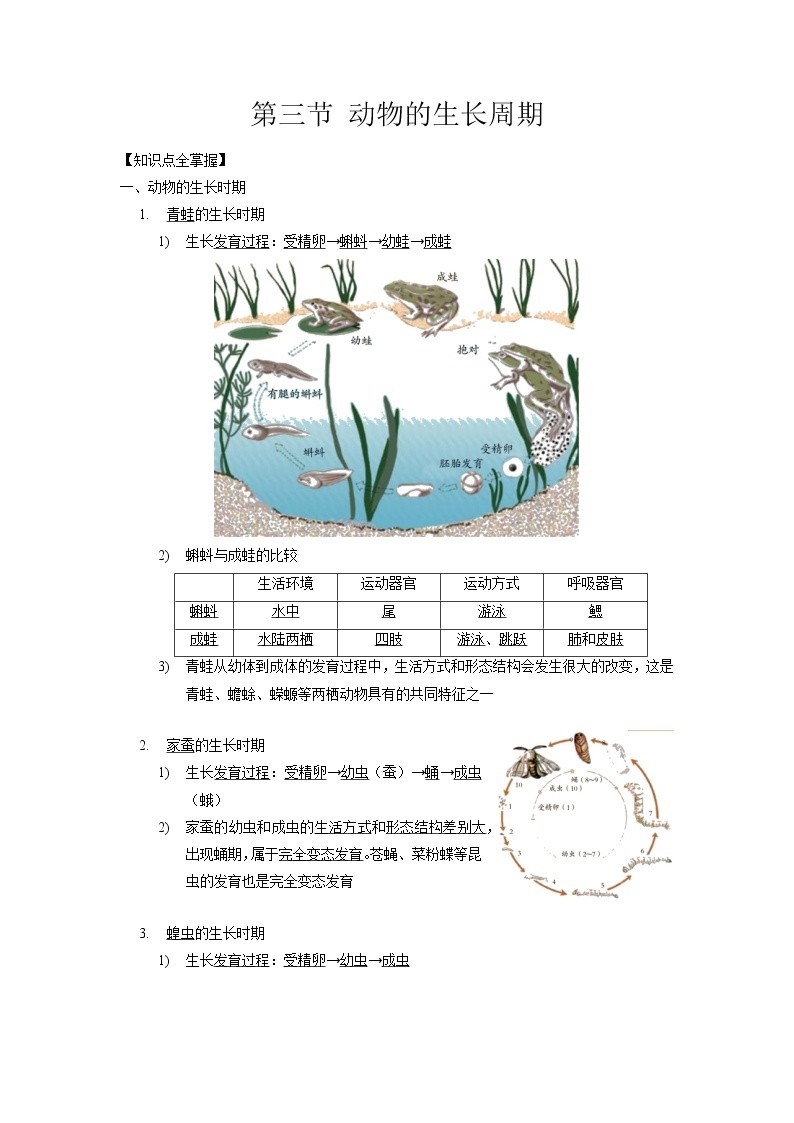 1.3 动物的生长周期-2020-2021学年科学七年级下册讲练测（浙教版）01