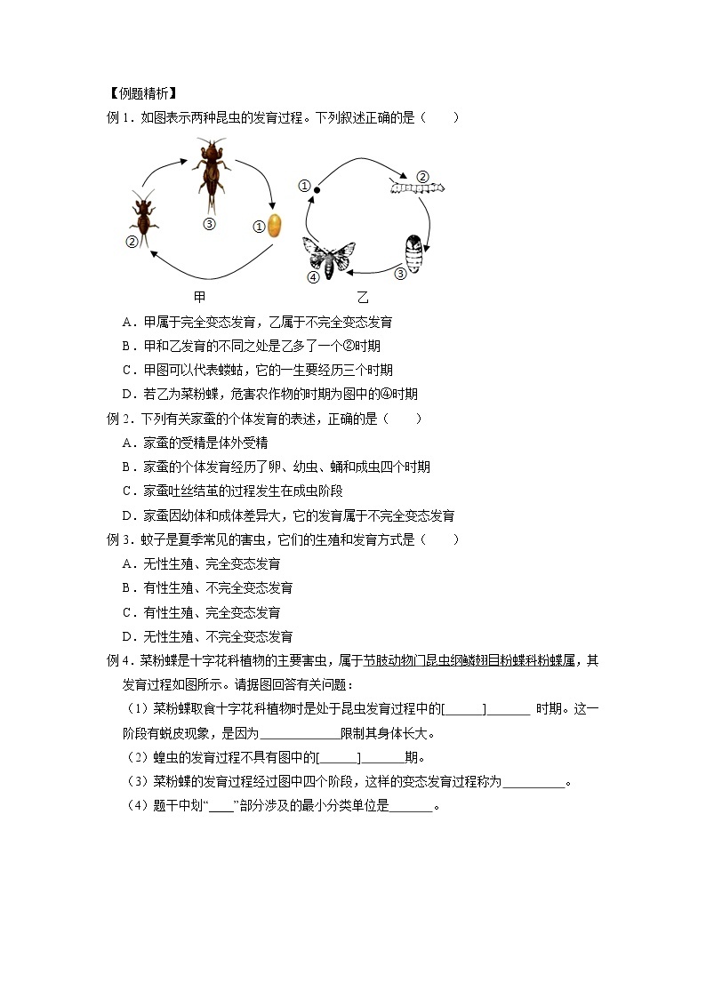 1.3 动物的生长周期-2020-2021学年科学七年级下册讲练测（浙教版）03