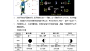 浙教版七年级下册第4节 月相随堂练习题