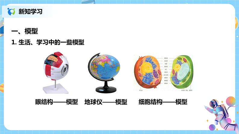浙教版科学八2.1《模型、符号的建立与作用》课件第4页