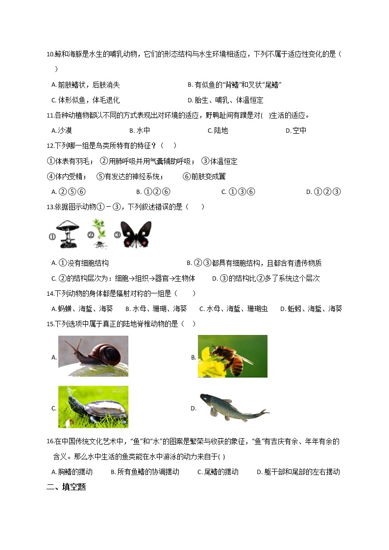 2.4  常见的动物— 浙教版七年级科学上册练习02