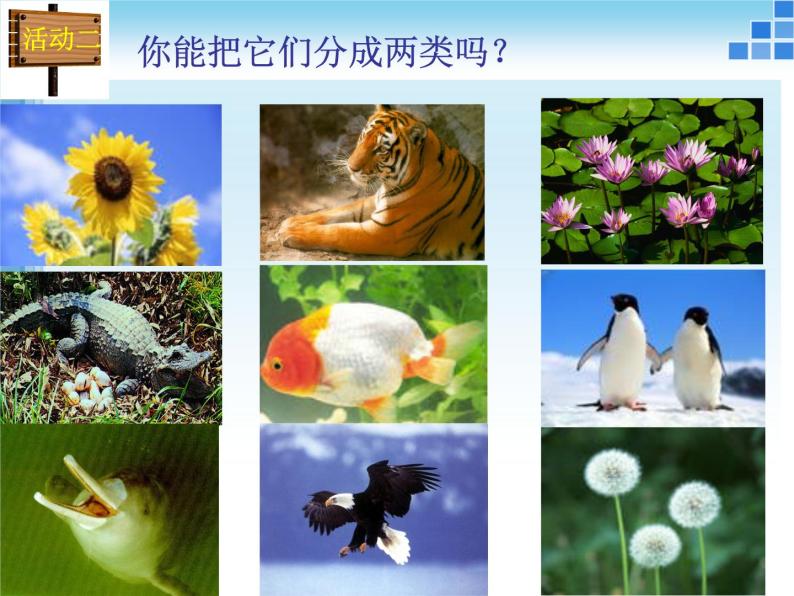 华师大版科学七年级上册 2.1 动物的主要类群_课件03