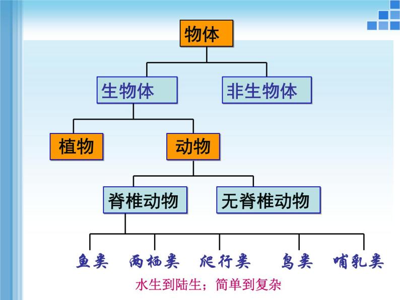 华师大版科学七年级上册 2.1 动物的主要类群_课件07