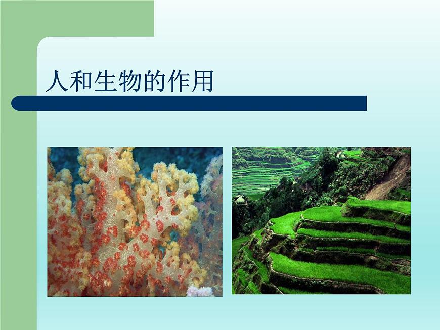 華師大版科學(xué)七年級(jí)上冊(cè) 6.3 千姿百態(tài)的地形_課件第6頁