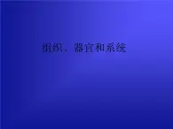 华师大版科学七年级上册 4.3 组织、器官和系统_课件