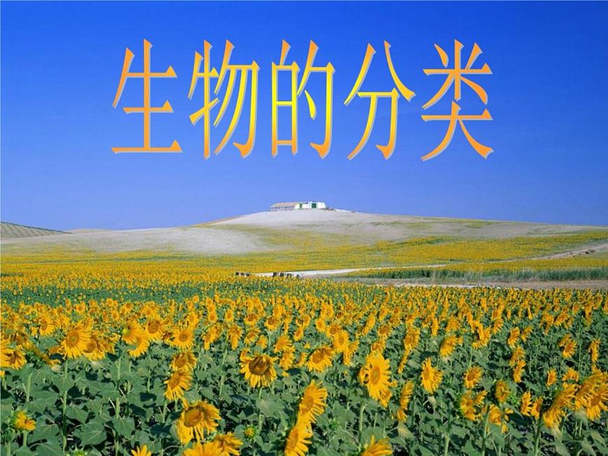 華師大版科學(xué)七年級上冊 2.4 生物的分類_課件第2頁