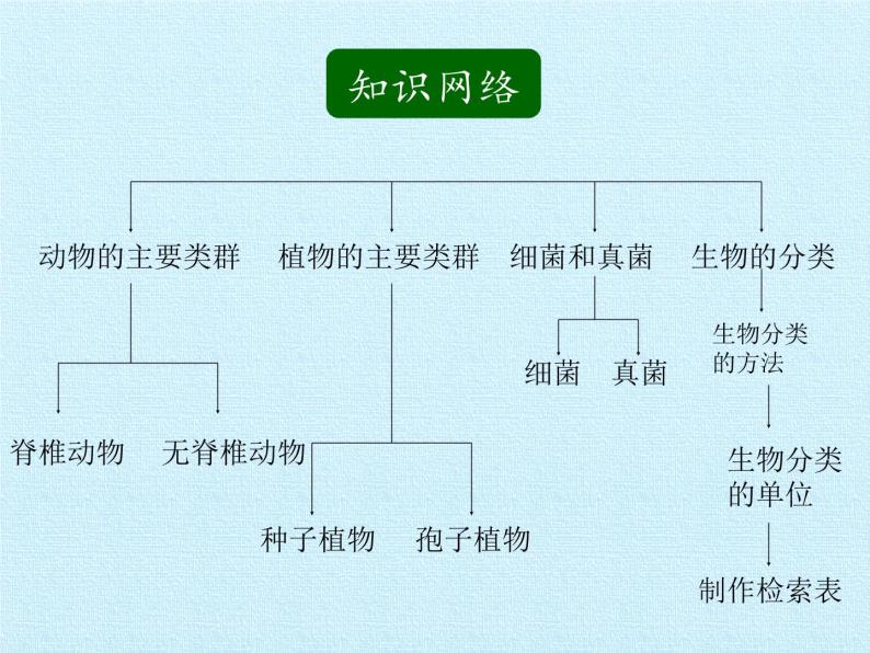 华师大版科学七年级上册 第2章 生物的主要类群 复习课件02