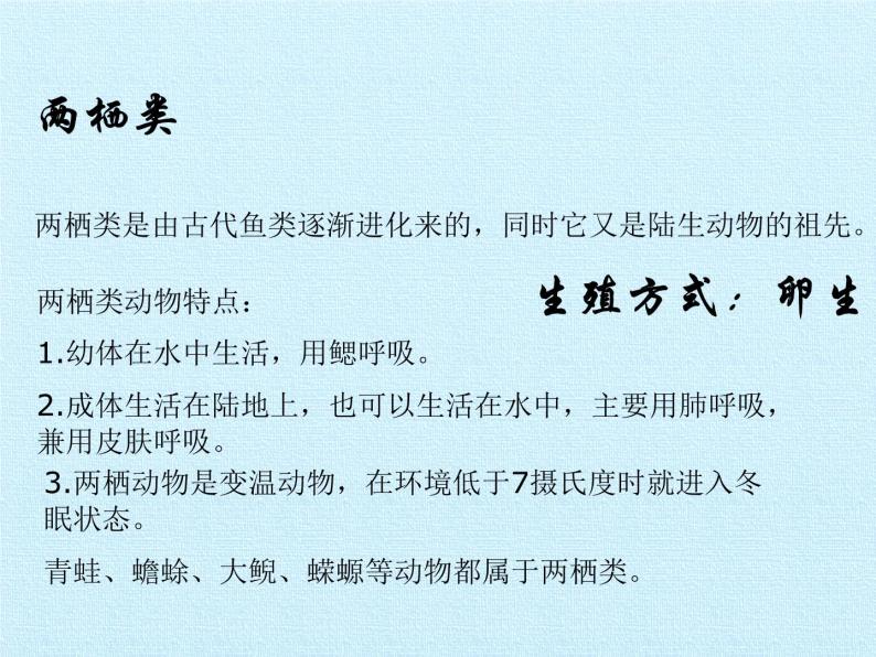 华师大版科学七年级上册 第2章 生物的主要类群 复习课件05