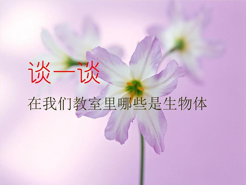 华师大版科学七年级上册 4.1 生物体_课件第5页