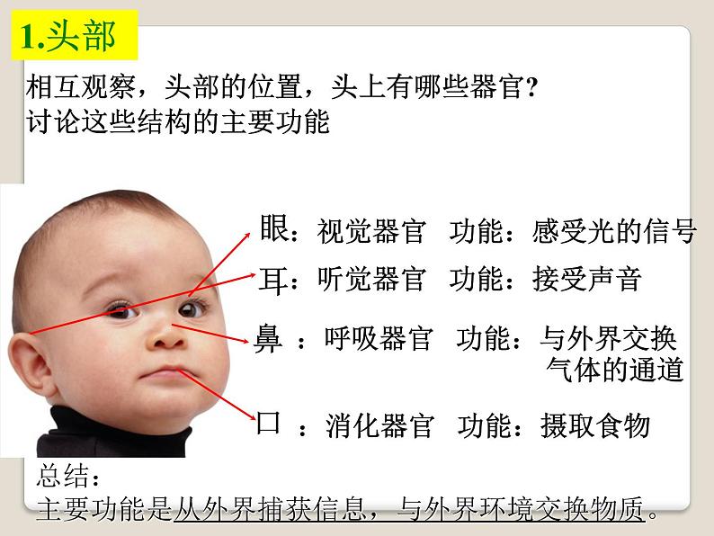 华师大版科学七年级上册 4.1 生物体_课件第8页