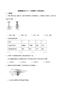 浙教版七年级下册第4节 植物的一生巩固练习