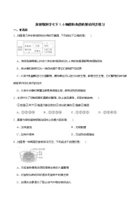 初中科学浙教版七年级下册第6节 细菌和真菌的繁殖课后练习题