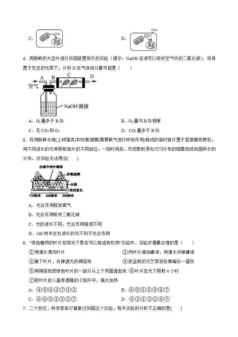 3.6.1 光合作用——光合作用原理以及原料、条件和产物 同步练习第2页
