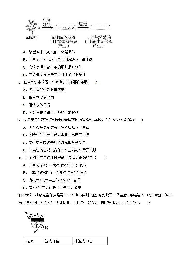 3.6.1 光合作用——光合作用原理以及原料、条件和产物 同步练习第3页
