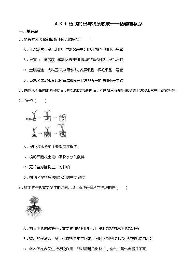 4.3.1 植物的根与物质吸收——植物的根系 同步练习第1页