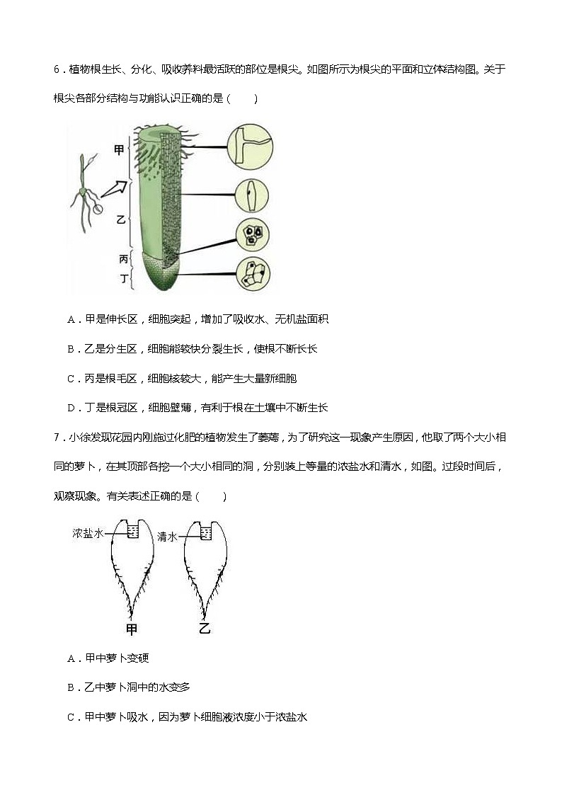 4.3.1 植物的根与物质吸收——植物的根系 同步练习第3页