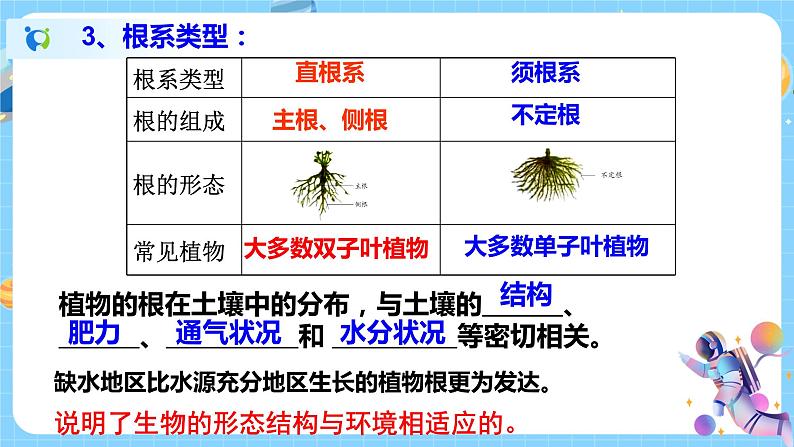 4.3 植物的根与物质吸收(第1课时) 课件第7页