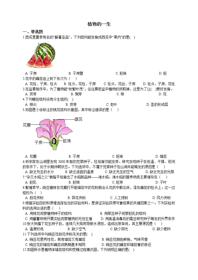 1.4植物的一生(1)综合练习第1页