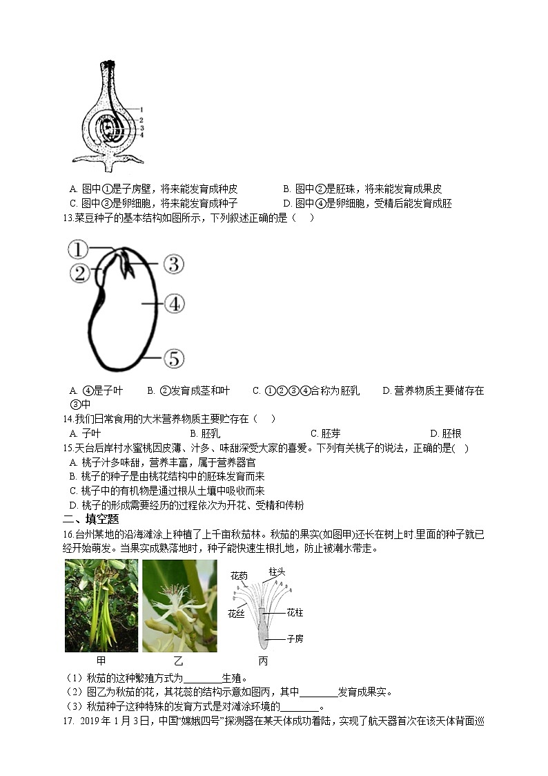 1.4植物的一生(1)综合练习第2页