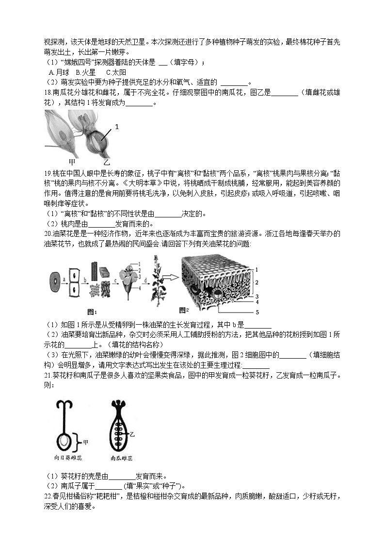 1.4植物的一生(1)综合练习第3页