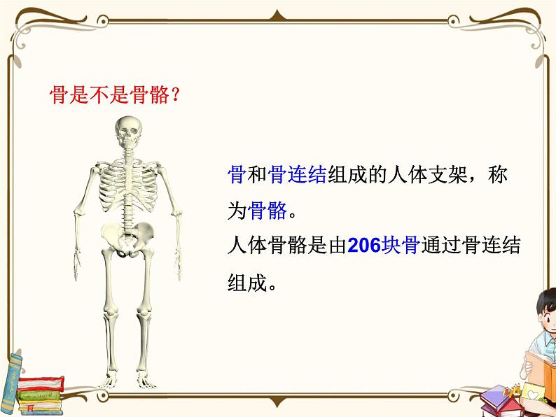 浙教版九年级下册 第3章 人的健康——第5节 人的运动系统和保健课件PPT第6页