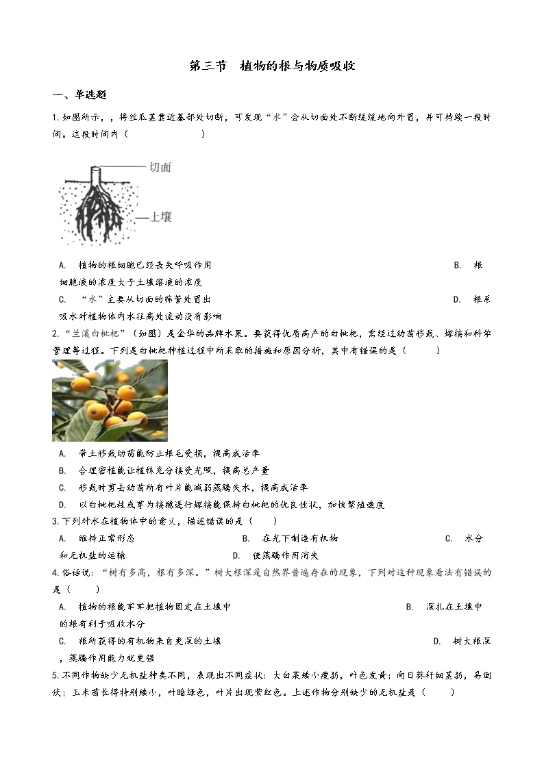 初中科学浙教版八年级下册第3节 植物的根与物质吸收学案