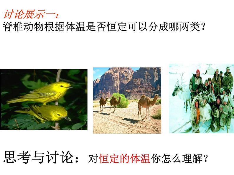 3.5体温的控制第2页