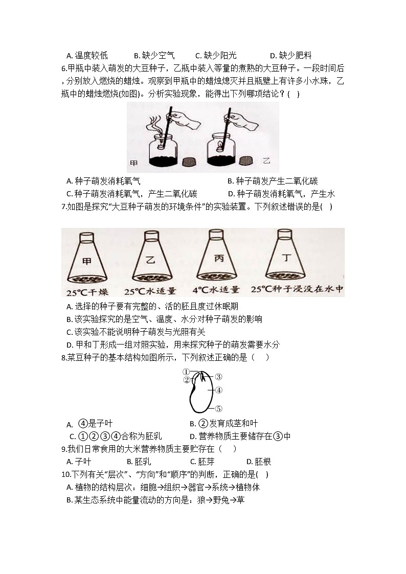 华师大版 七年级下册 7.2 种子 的萌发和幼苗的发育 同步自测02