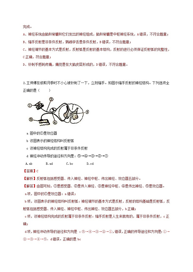 3.3 神經(jīng)調(diào)節(jié)-重難點(diǎn)優(yōu)化與提高(解析卷)第2頁(yè)