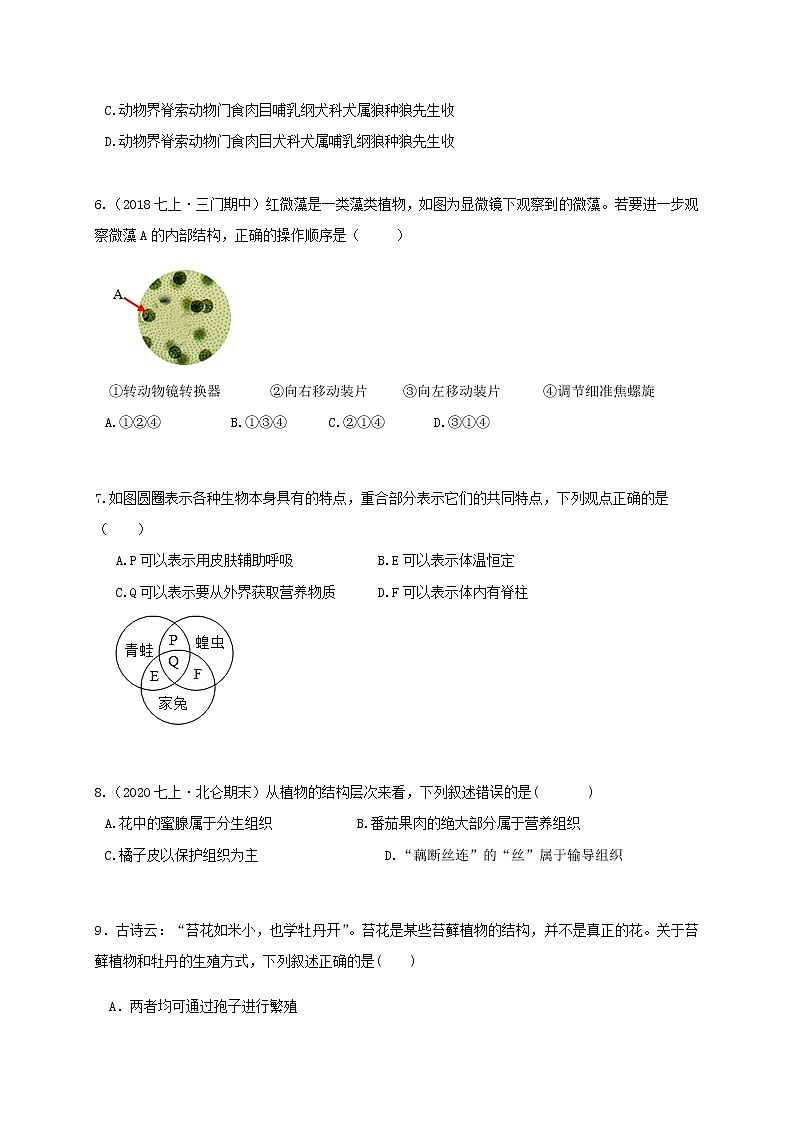 浙教版科學(xué) 七上 第二章 觀察生物 培優(yōu)單元測(cè)試卷(原題卷)第2頁(yè)