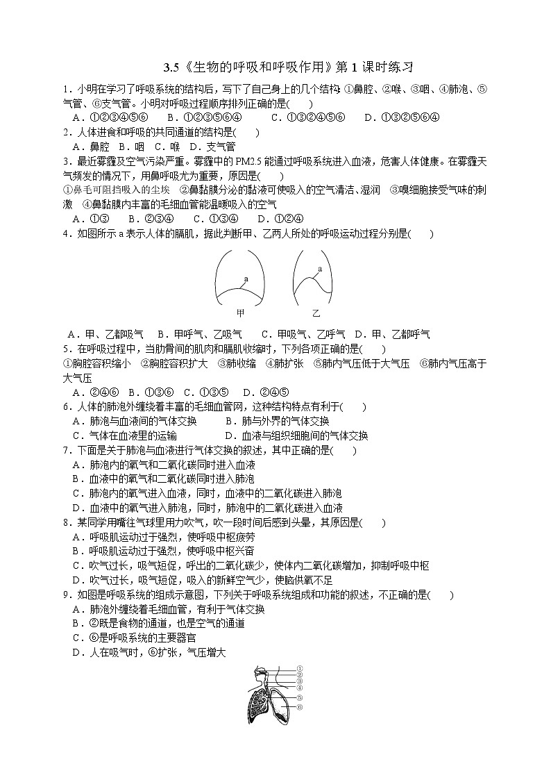 3.5《生物的呼吸和呼吸作用 第1课时》(课件+教案+学案+练习)01