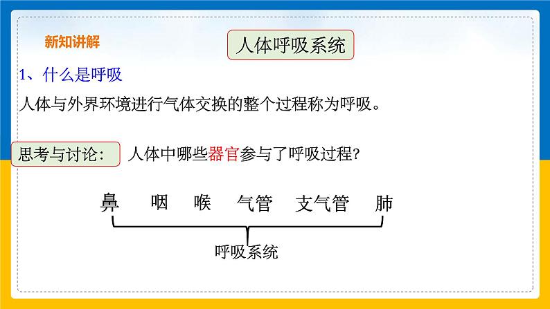3.5《生物的呼吸和呼吸作用 第1课时》(课件+教案+学案+练习)03